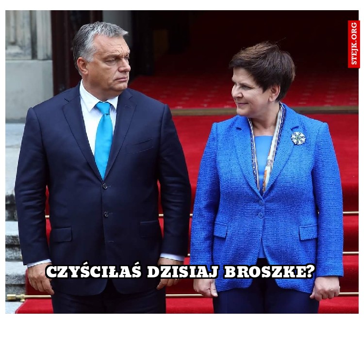 Czyściłaś dzisiaj broszke?