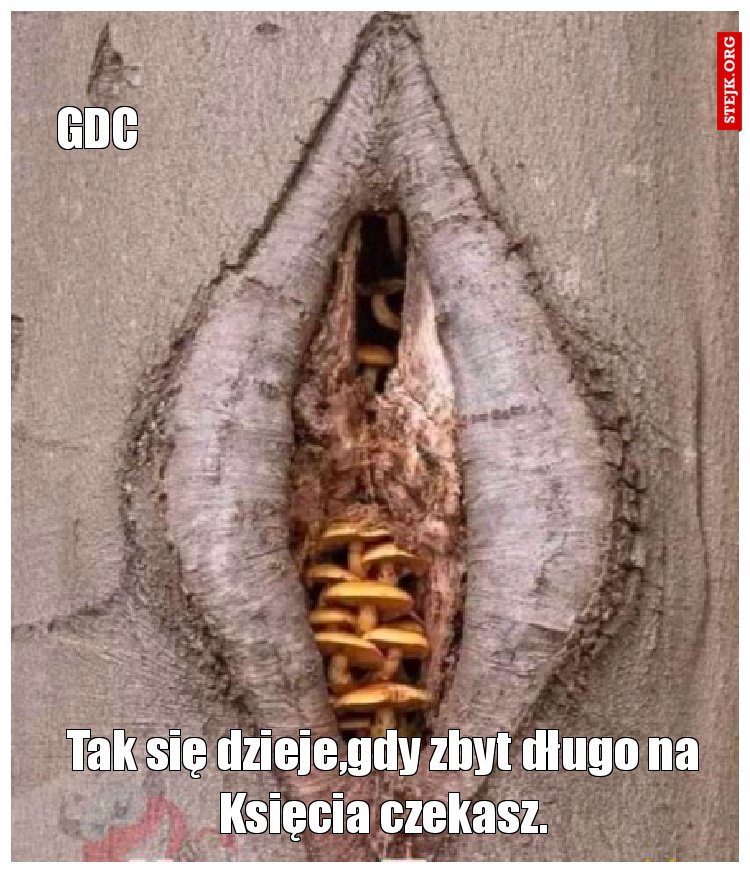 Tak się dzieje,gdy zbyt długo na Księcia czekasz.