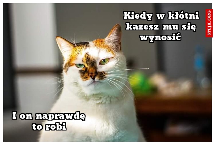 Kiedy w kłótni kazesz mu się wynosić 