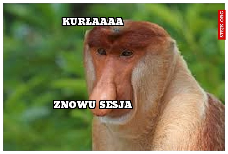kurłaaaa