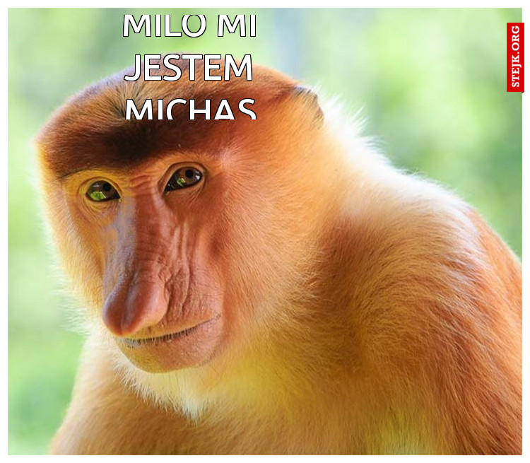 Milo mi jestem michas
