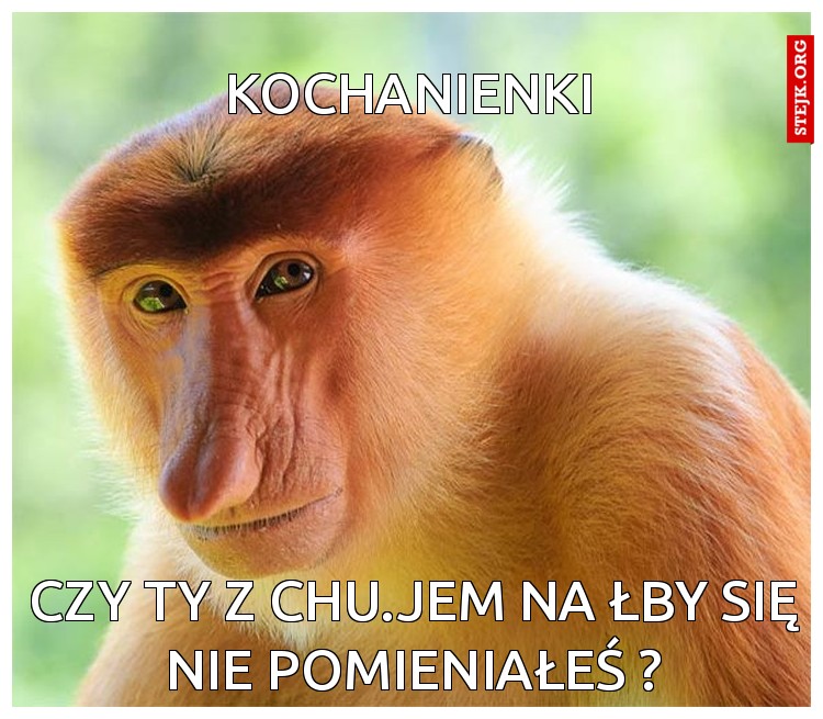 KOCHANIENKI