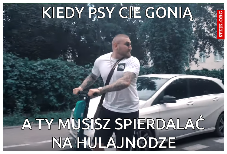 KIEDY PSY CIE GONIĄ