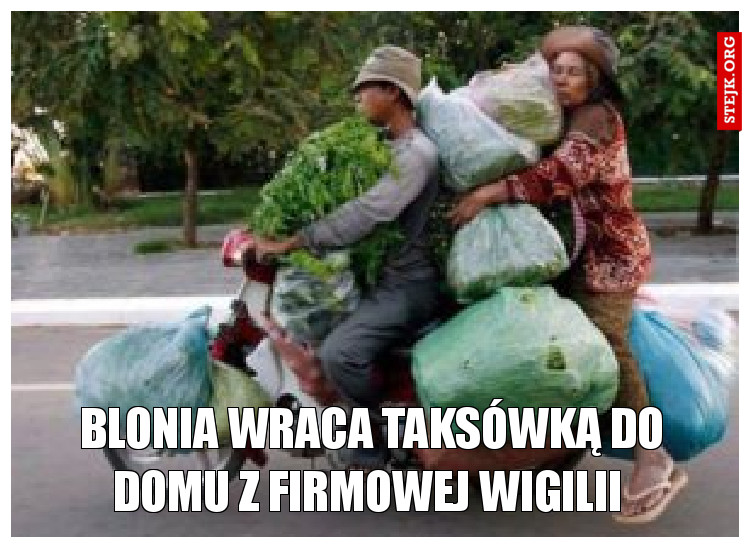 Blonia wraca taksówką do domu z Firmowej Wigilii 