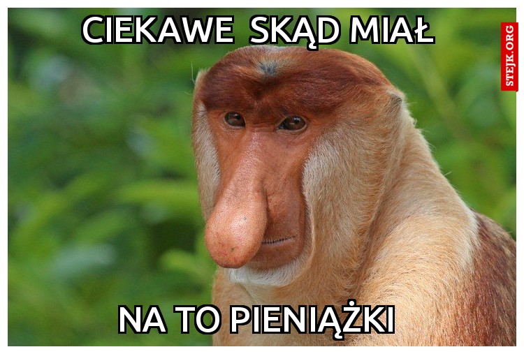 Ciekawe  skąd miał