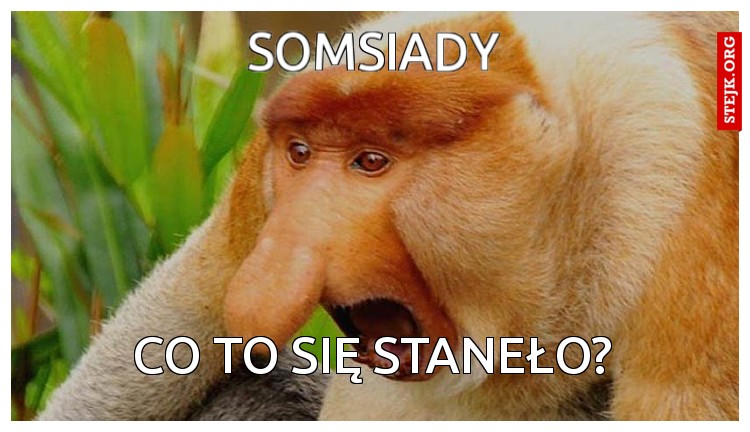 SOmsiady