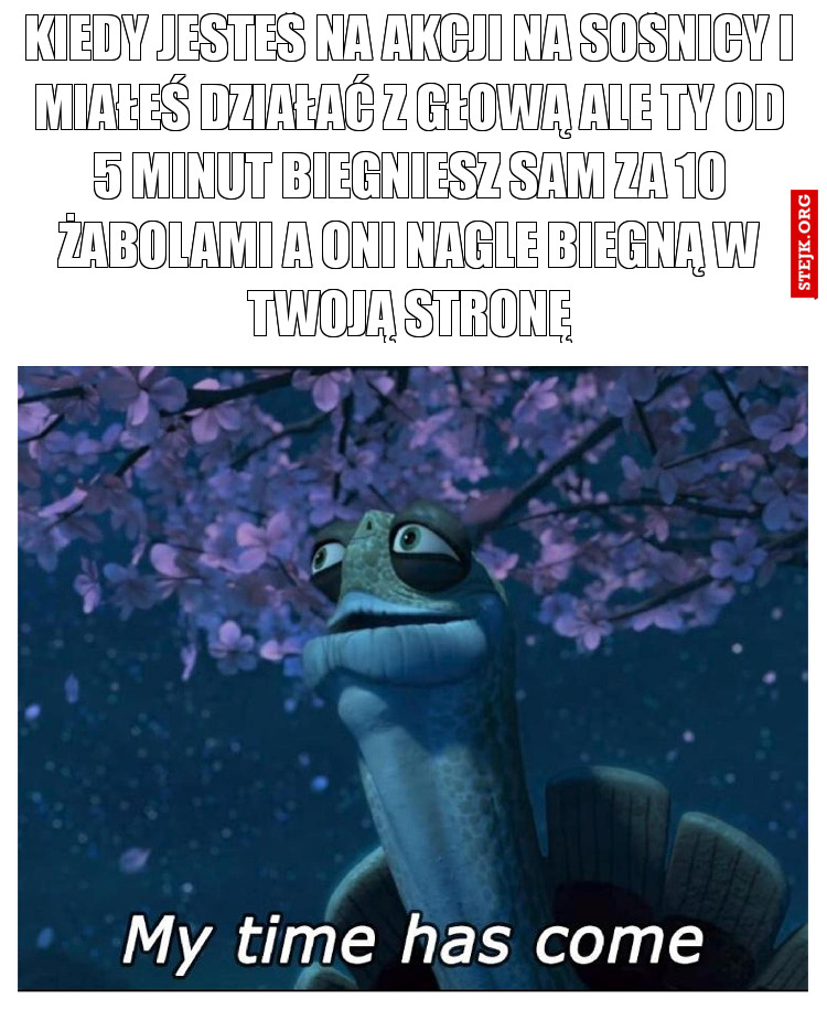 Kiedy jesteś na akcji na sośnicy i miałeś działać z głową ale ty od 5 minut biegniesz sam za 10 żabolami a oni nagle biegną w twoją stronę