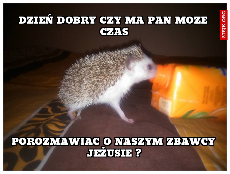 Dzień dobry czy ma pan moze czas