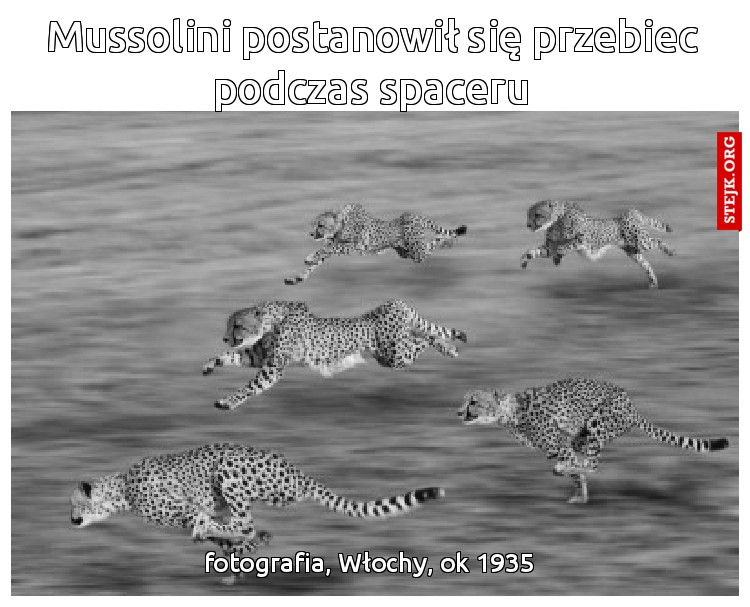 Mussolini postanowił się przebiec podczas spaceru
