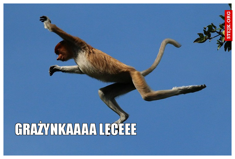 GRAŻYNKAAA LECEEE
