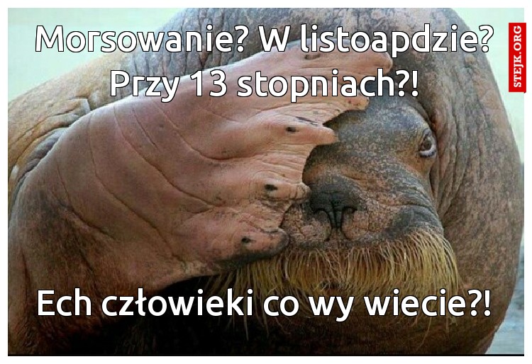 Morsowanie? W listoapdzie? Przy 13 stopniach?!