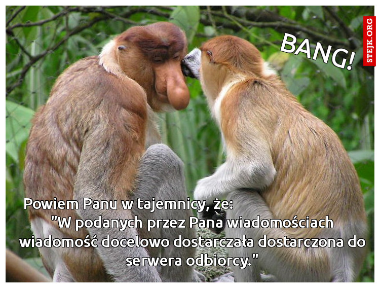 Powiem Panu w tajemnicy, że:                                     "W podanych przez Pana wiadomościach wiadomość docelowo dostarczała dostarczona do serwera odbiorcy."