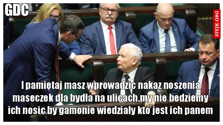 I pamiętaj masz wprowadzic nakaz noszenia maseczek dla bydła na ulicach.my nie bedziemy ich nosic by gamonie wiedziały kto jest ich panem