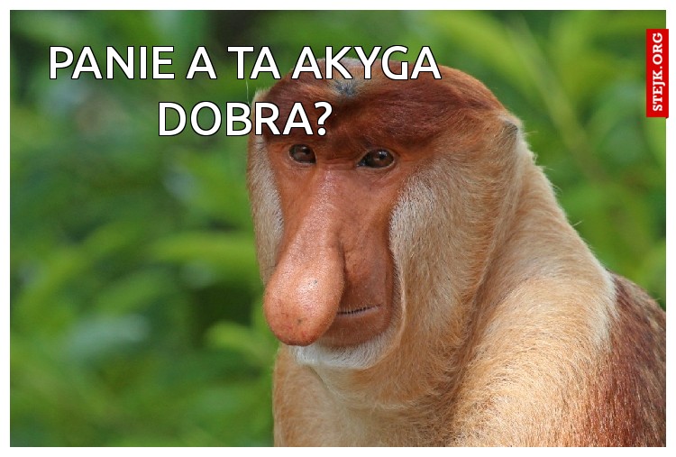 Panie A ta Akyga dobra?
