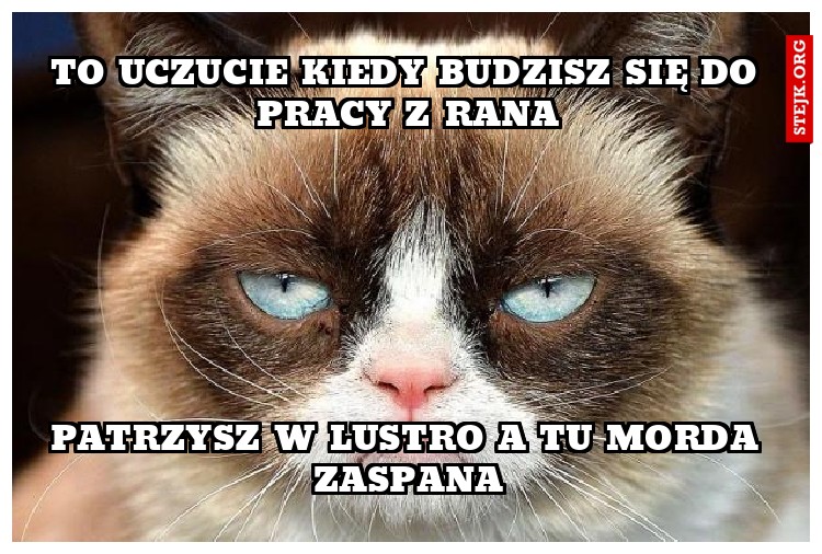 To uczucie kiedy budzisz się do pracy z rana