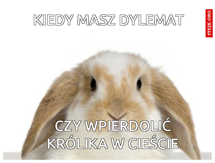 Kiedy masz dylemat