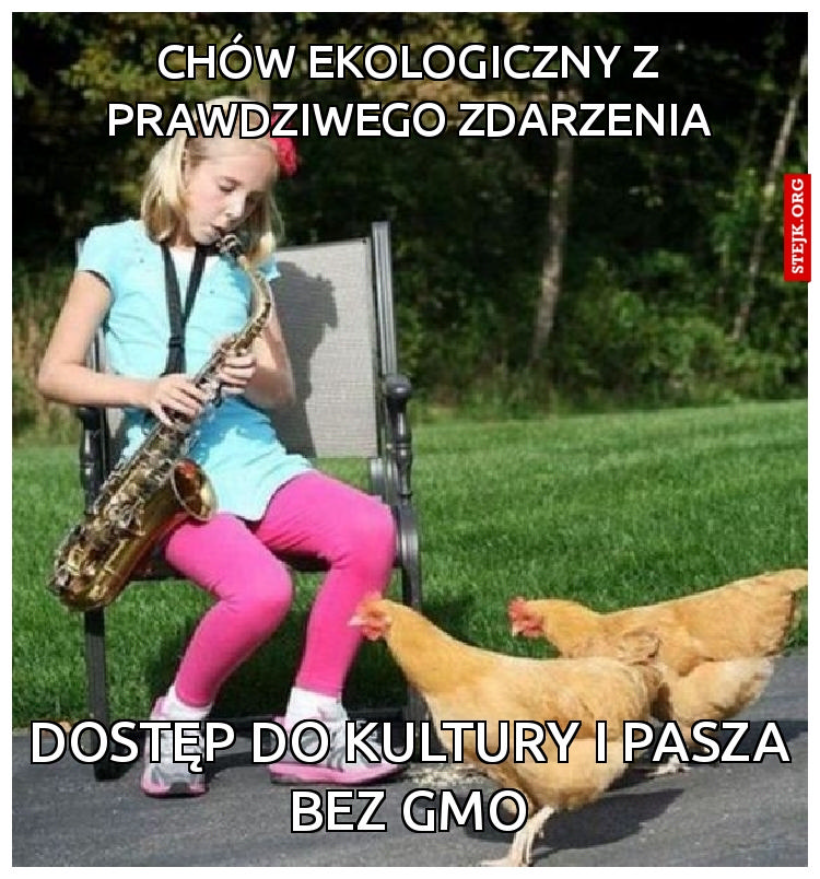 Chów ekologiczny z prawdziwego zdarzenia