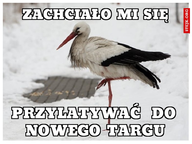 zachciało mi się