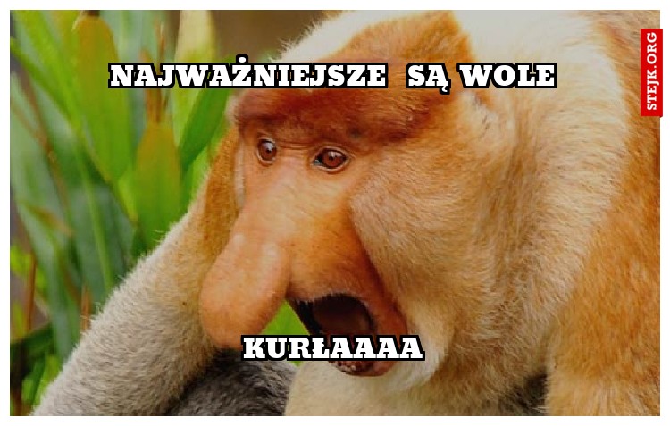 najważniejsze  są wole