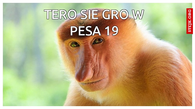 tero sie gro w pesa 19