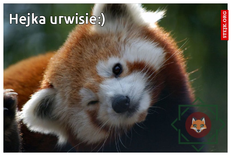 Hejka urwisie:)