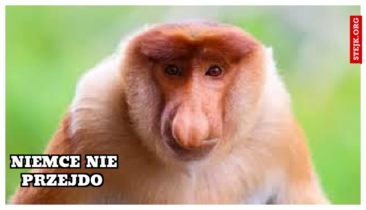 Niemce nie przejdo 