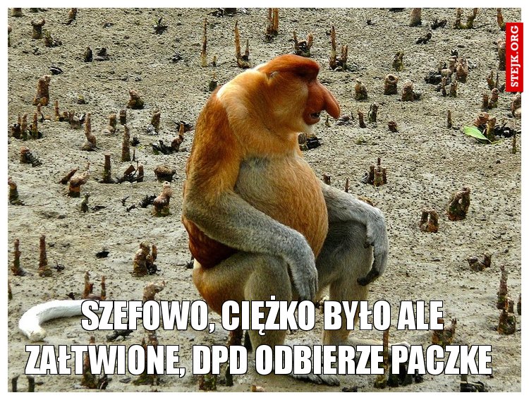 Szefowo, ciężko było ale załtwione, DPD odbierze paczke 