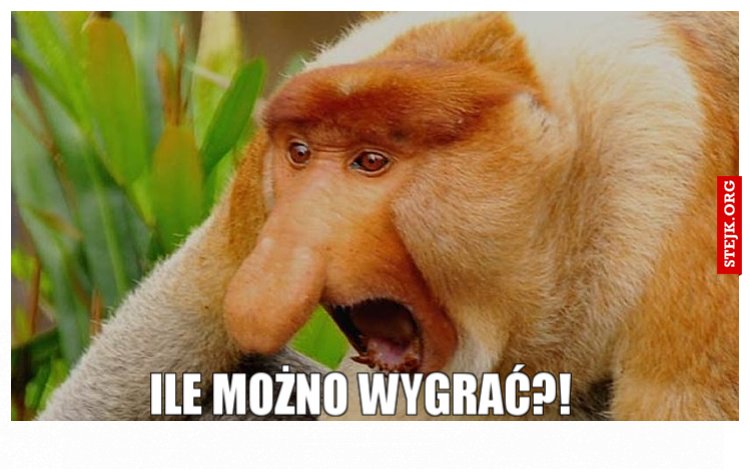 Ile możno wygrać?!