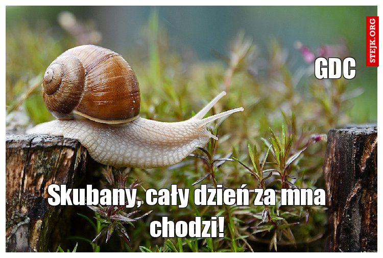 Skubany, cały dzień za mna chodzi!