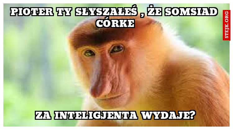 Pioter ty słyszałeś , że Somsiad córke