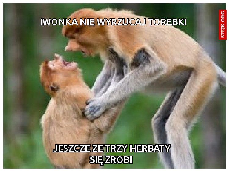 IWONKA NIE WYRZUCAJ TOREBKI
