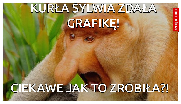 Kurła Sylwia zdała grafikę!
