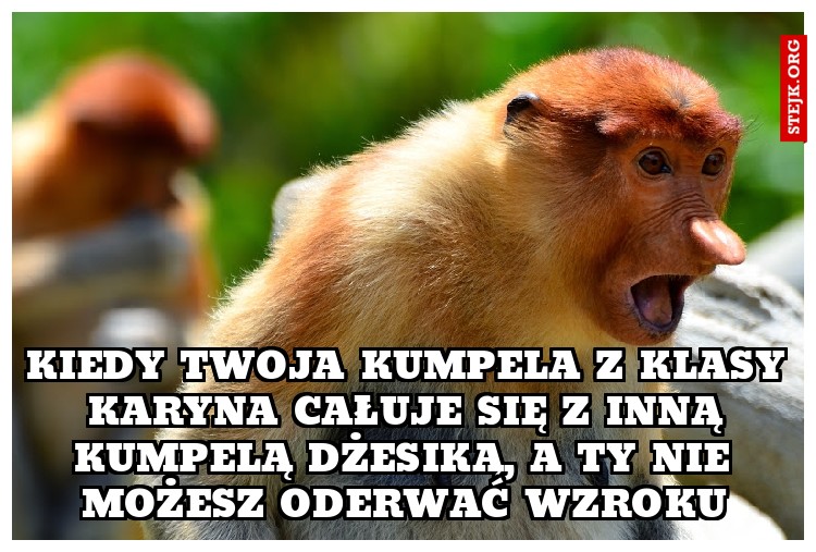Kiedy twoja kumpela z klasy Karyna całuje się z inną kumpelą Dżesiką, a ty nie możesz oderwać wzroku
