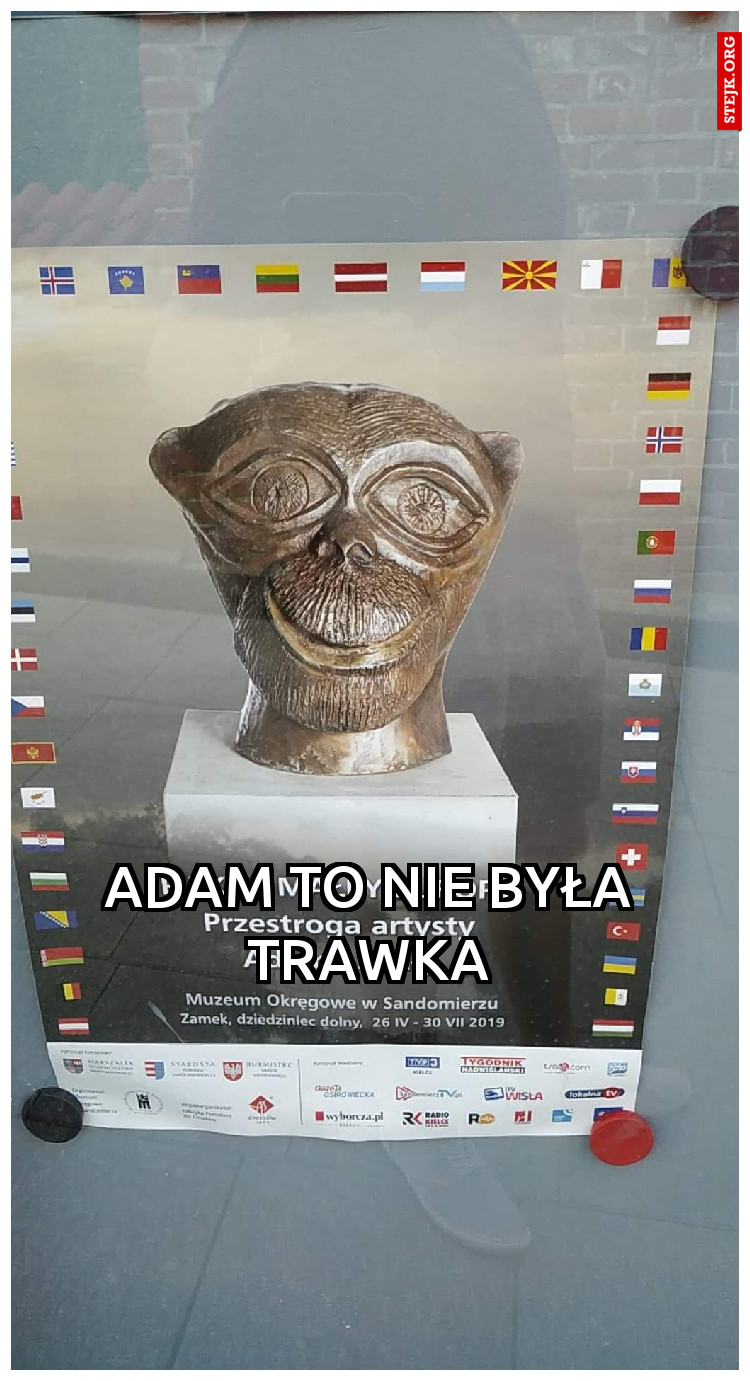 Adam to nie była trawka