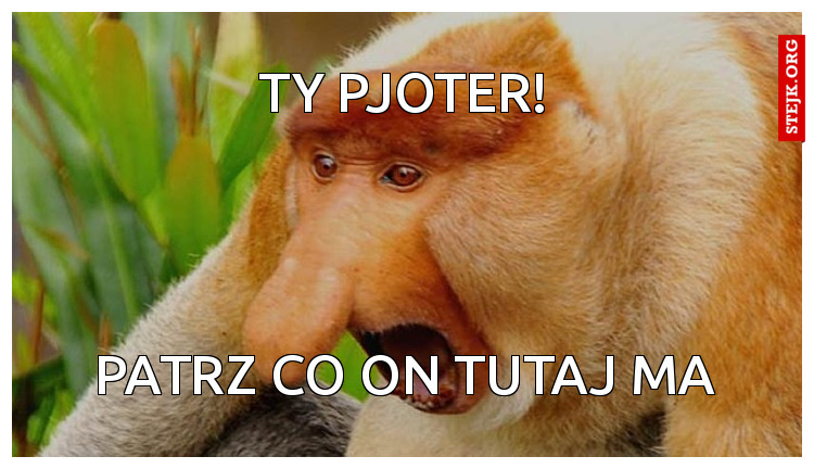 Ty Pjoter!