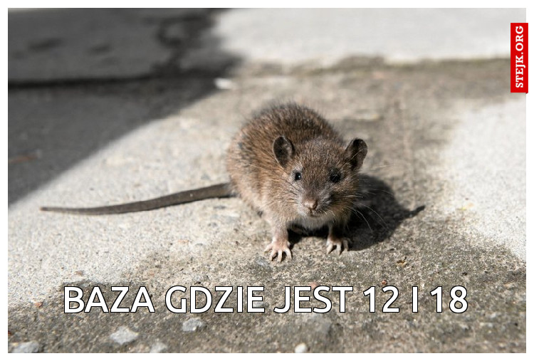 Baza gdzie jest 12 i 18