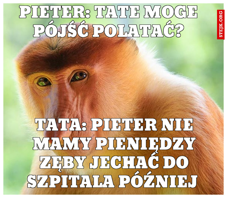xd