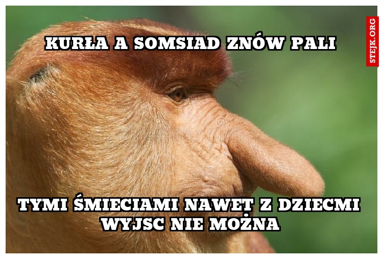 kurła a somsiad znów pali