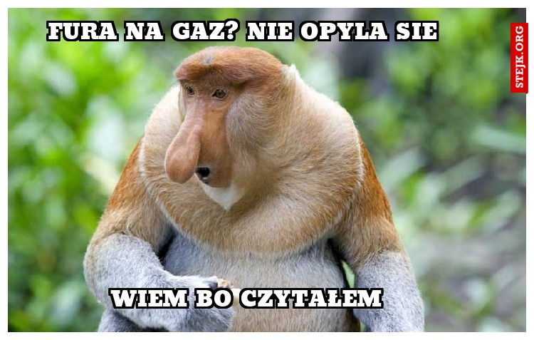 fura na gaz? nie opyla sie