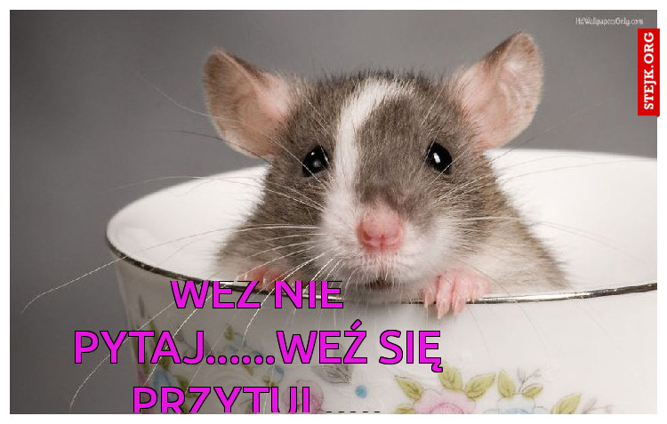 weź nie pytaj, weź się przylul....