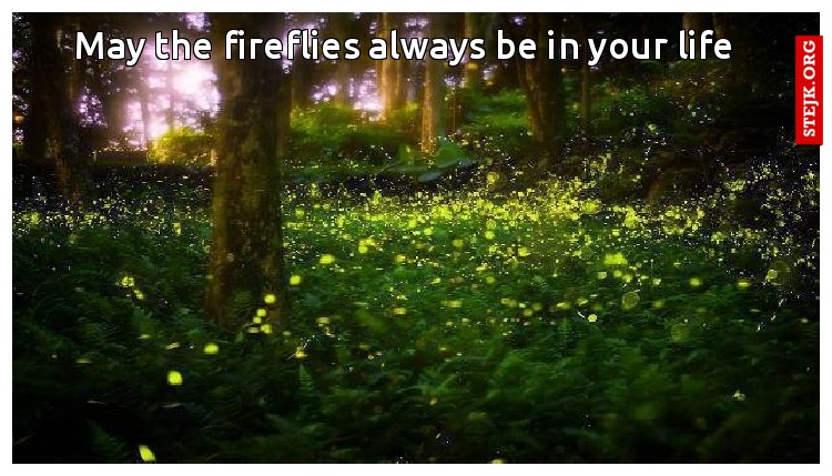 May the fireflies always be in your life