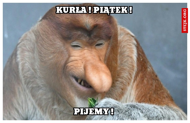 Kurła ! Piątek !