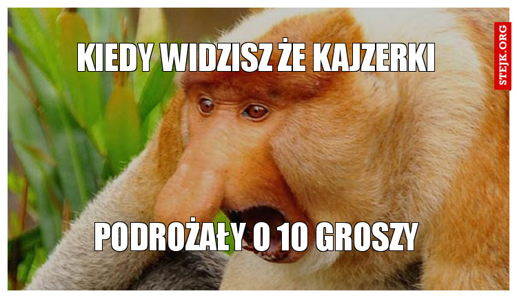 kiedy widzisz że kajzerki
