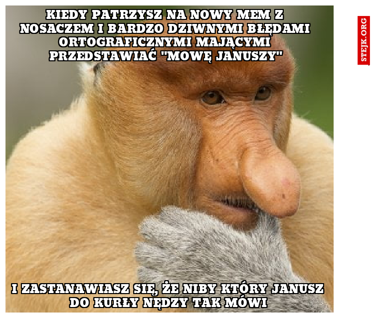 kiedy patrzysz na nowy mem z nosaczem i bardzo dziwnymi błędami ortograficznymi mającymi przedstawiać "mowę Januszy"