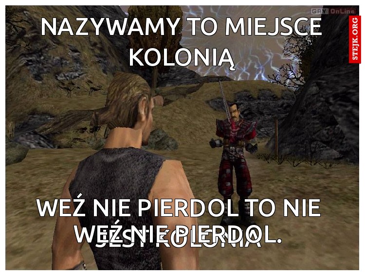 Nazywamy to miejsce kolonią
