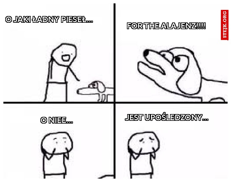  O jaki ładny pieseł...