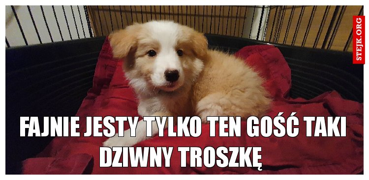fAJNIE JESTY TYLKO TEN GOŚĆ TAKI DZIWNY TROSZKĘ 