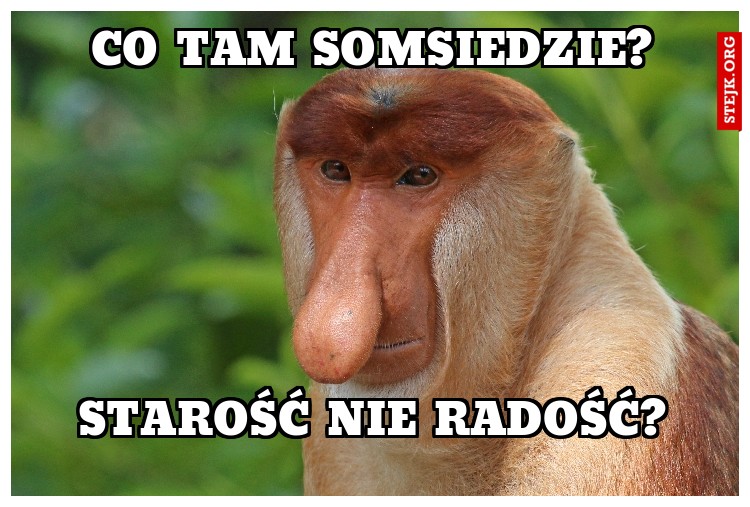 CO TAM SOMSIEDZIE?