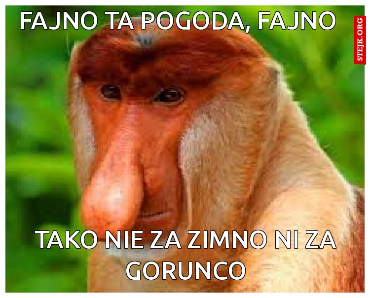 Fajno ta pogoda, fajno