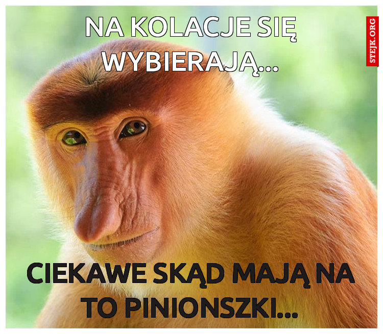 Na kolacje się wybierają...